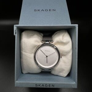 Skagen Tanja Silver Dial Stainless Steel MeshLadies Watch SKW2485
